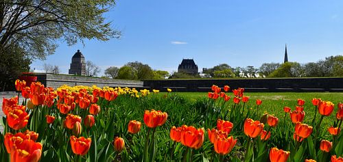 De tuinen van het parlement in de lente