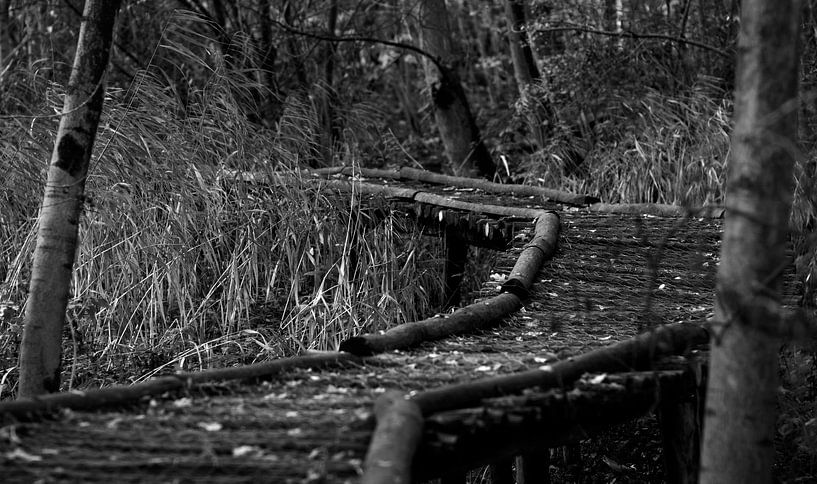 a path is only a path par Petra Vermunt