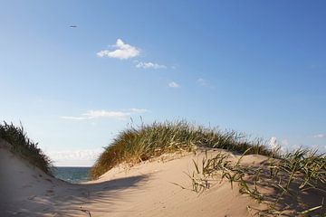 Baltische Zee-duinen van Ostsee Bilder