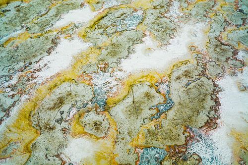 Zoutvlakte Structuren | Geel en Groen