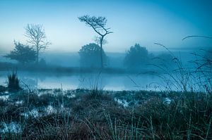 Blauwe wereld van Peter Bijsterveld