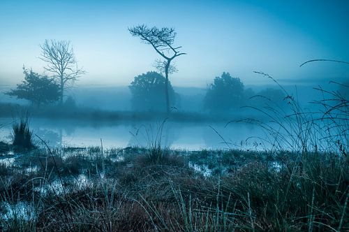 Blaue Welt