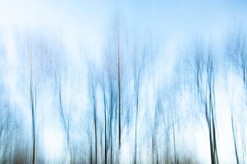 Long exposure pastel abstracte winter bomen met beweging art print - natuurfotografie van Christa Stroo fotografie