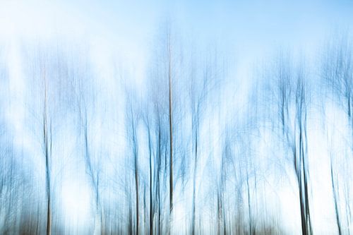 Arbres d'hiver abstraits en mouvement.