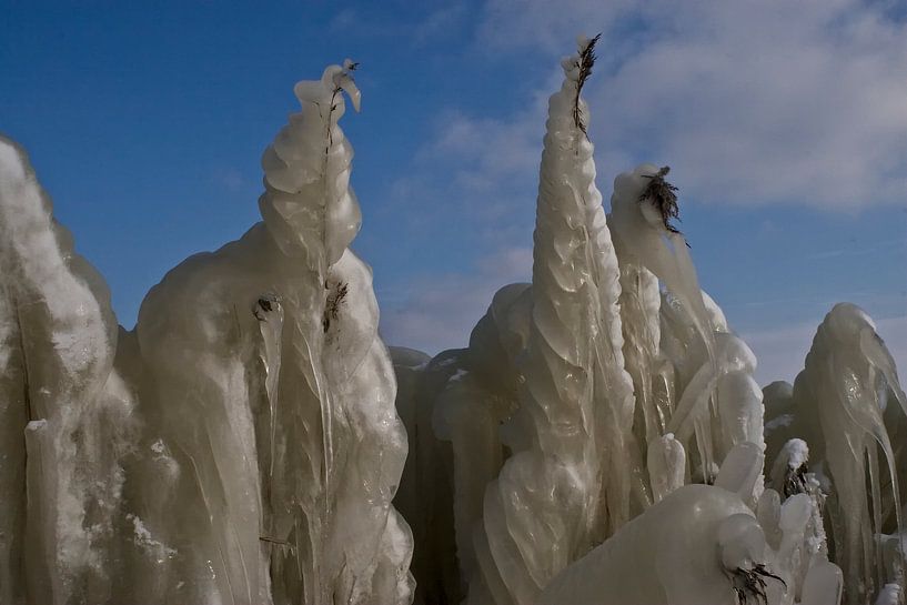 Ijszeeolifanten by foto-fantasie foto-fantasie