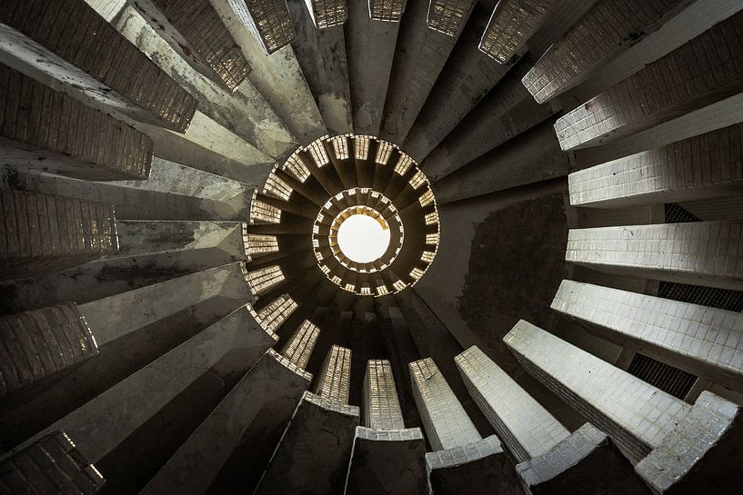 Spiral by David Van Den Dooren