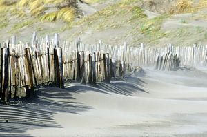Strand IJmuiden