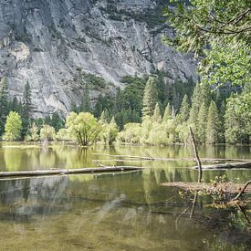 Spiegelsee von Robby van Vliet