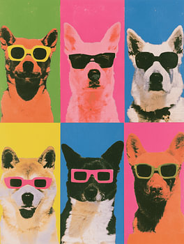 Pop-art-honden met zonnebril – raster van 6