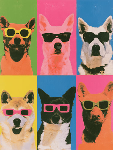 Pop-art-honden met zonnebril – raster van 6