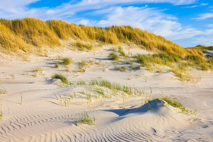 Dunes by Daniela Beyer