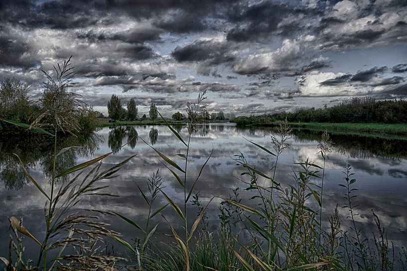 View on by Jenny