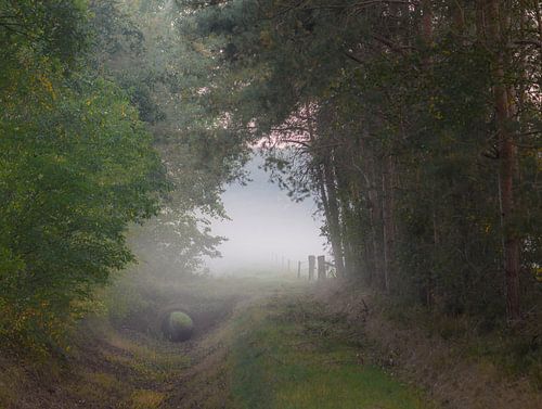 dry ditch in the fog
