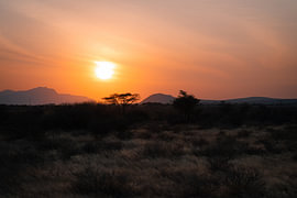 Sonnenuntergang über dem Busch von Sander RB