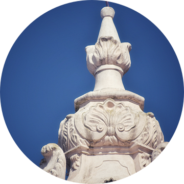 Ooievaar in Faro Portugal