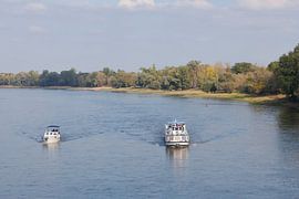 L'Elbe près de Magdebourg (Saxe-Anhalt)