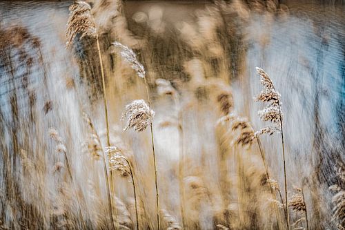 Halms an der Uferpromenade.