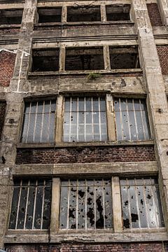 Factory with broken windows by Ans Bastiaanssen