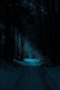 Een winterse weg van Pixel4ormer