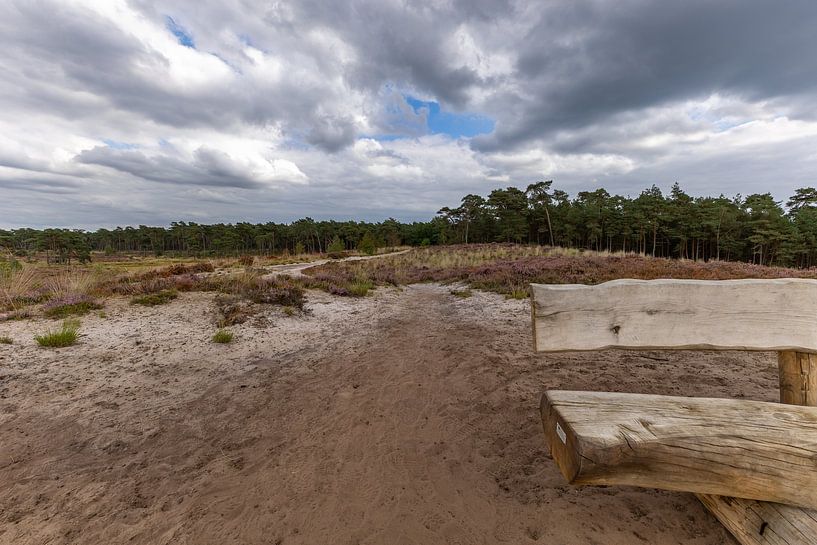 Peace and quiet on the Kalmthoutse Heide by SchumacherFotografie