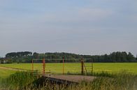 Natuur Rotterdam van falko visser thumbnail