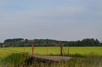 Natuur Rotterdam