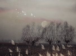 Paysage de saules dans des tons bruns naturels