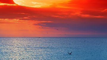 Zonsondergang aan zee