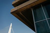 Detail van de Erasmusbrug