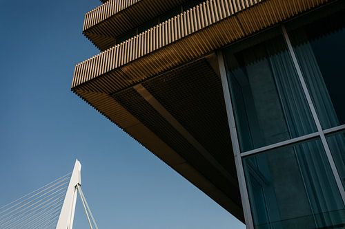 Detail der Erasmus-Brücke