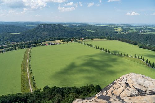 Uitzicht op een groen veld vanaf de Lilienstein