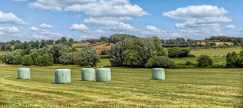 Balles de foin sur les collines du Limbourg méridional