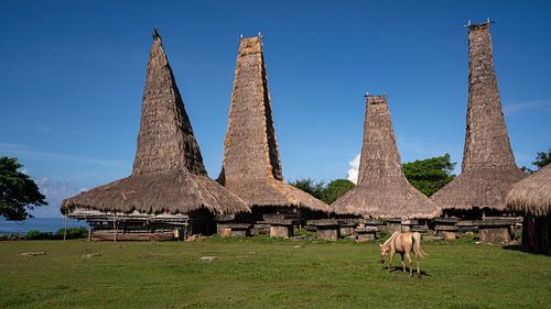Het traditionele dorp Ratenggaro in West Sumba