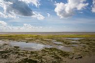 Het wad bij Terschelling van Evert Jan Kip thumbnail