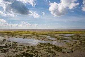 Het wad bij Terschelling