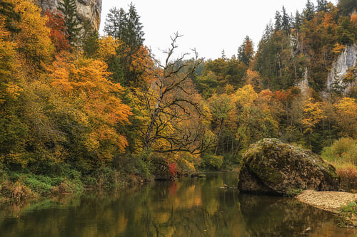 De Donau bij Fridingen in oktober in het natuurpark Boven-Donau