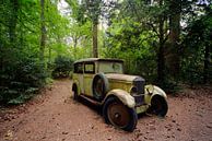 voiture dans la forêt par michel van bijsterveld Aperçu