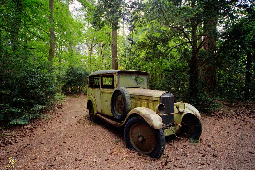 voiture dans la forêt par michel van bijsterveld