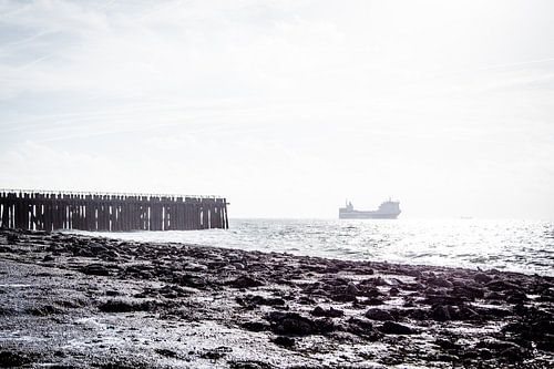 Ship sailing by Westkapelle, Netherlands
