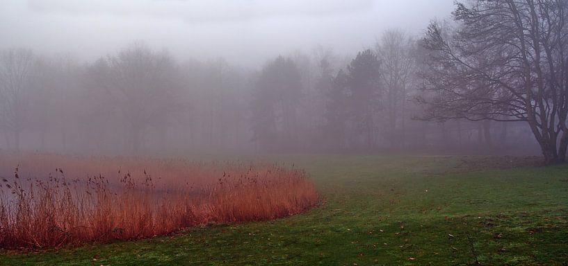 Mistpanorama en rietgras van Edgar Schermaul