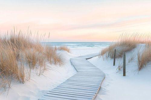 Chemin de la plage Dunes
