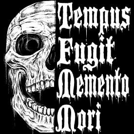Tempus Fugit Memento Mori von Pixelbull Design