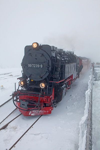 The Brockenbahn at Brocken station by t.ART