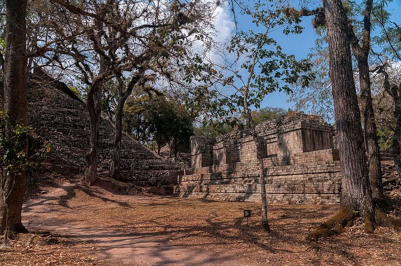 Honduras: Copán (Los Sapos) von Maarten Verhees