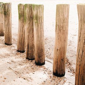 Ombres sur le sable sur Djuli Bravenboer