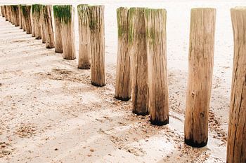 Schaduwen op het zand