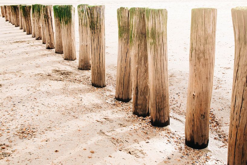 Schaduwen op het zand van Djuli Bravenboer