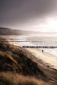 Windy Days (duinen Zoutelande)
