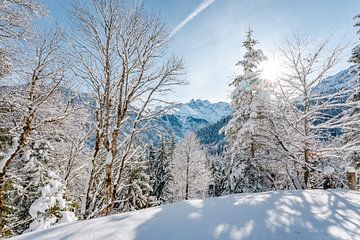 Zonnig uitzicht op de Allgäuer Alpen in de winter van Leo Schindzielorz