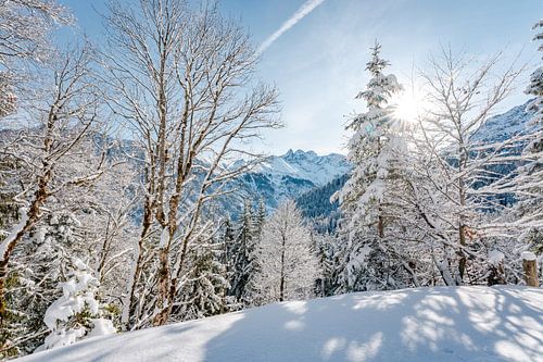 Zonnig uitzicht op de Allgäuer Alpen in de winter
